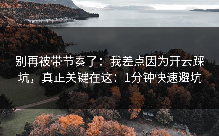 别再被带节奏了：我差点因为开云踩坑，真正关键在这：1分钟快速避坑