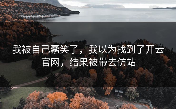 我被自己蠢笑了，我以为找到了开云官网，结果被带去仿站