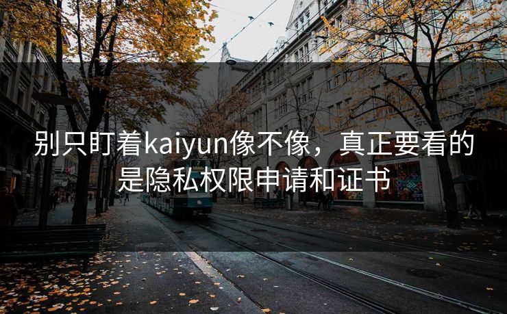 别只盯着kaiyun像不像，真正要看的是隐私权限申请和证书